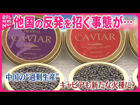 「クリチコ」:映画館がウクライナへの募金活動を実施