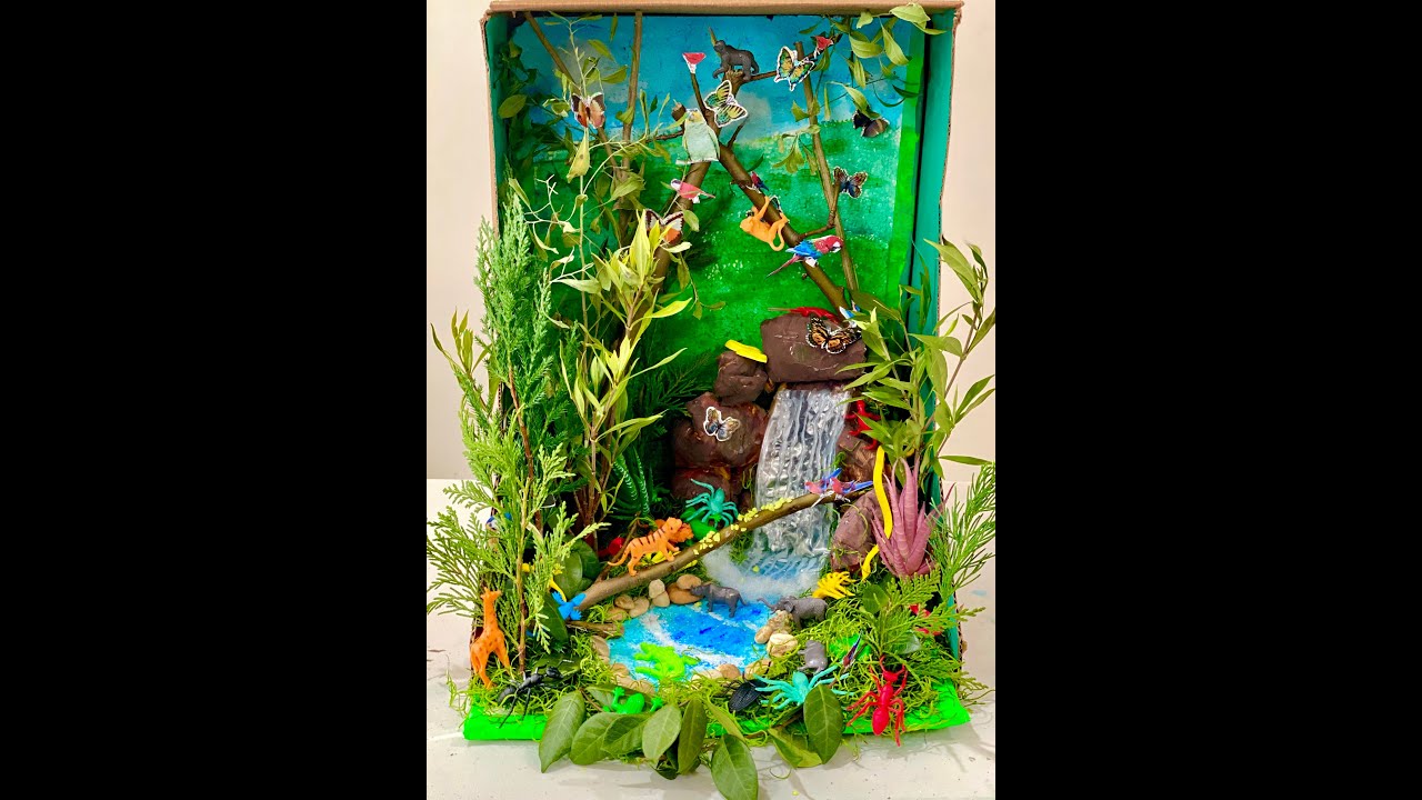How to build a tropical rainforest diorama!