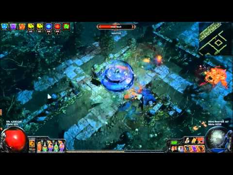 Path of Exile Cats When Damage Taken