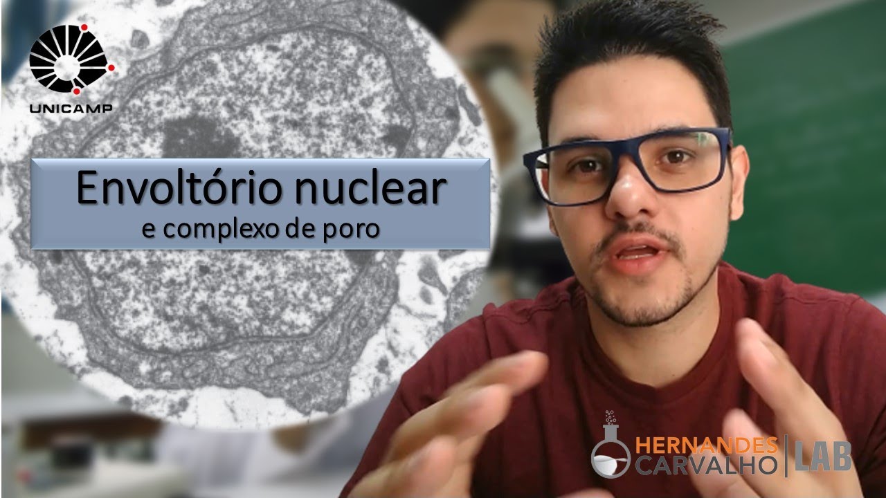 Envoltório nuclear e o complexo de poro