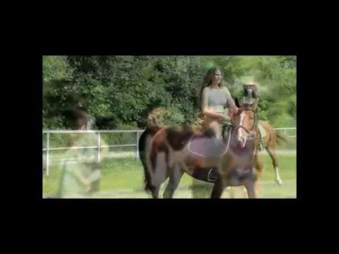 DDWloclawekTV - Miss Polka 2013/Sesja półfinalistek kujawsko-pomorskie