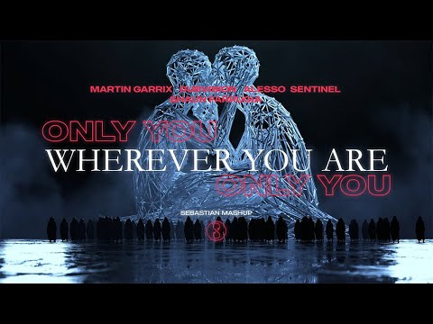 Alesso & Sentinel vs Martin Garrix & Dubvision feat. Shaun Farrugia - Only You x Wherever You Are