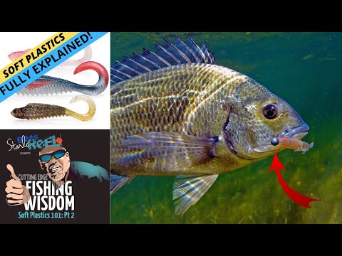 FISHING WISDOM — Soft Plastics 101 Part 2: Video & Podcast