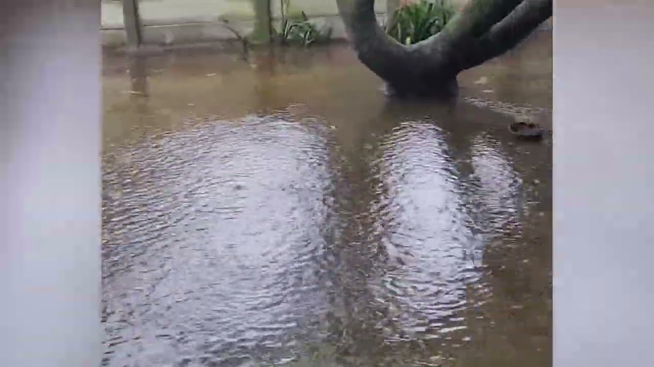 South Africa is Flooded Again! Flash Flooding in Cape Town, Dams are full!