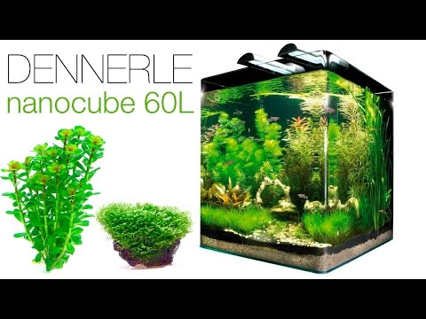 Watch Video on YouTube