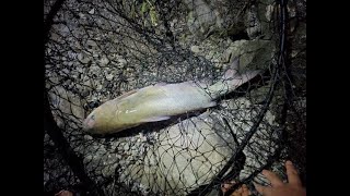 Fishing for Catfish Lake Erie in Sandusky,OH