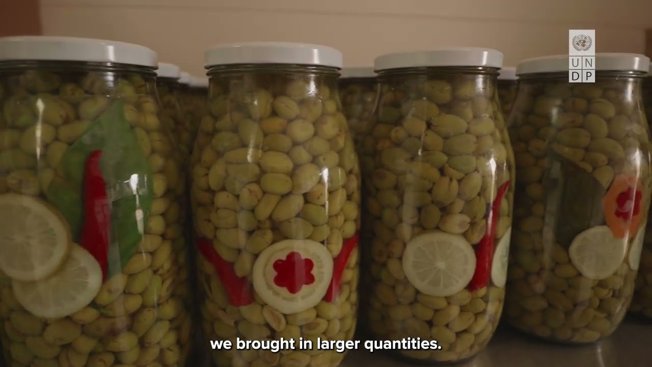 Women-Led Cooperatives in South Lebanon Affected by the War