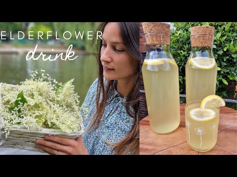 Summer soft drink made with elderflower flower | Socata de casa