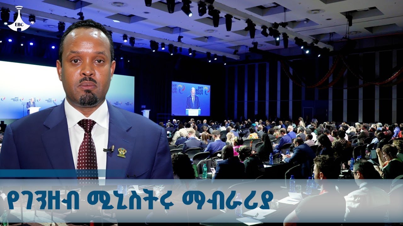 የገንዘብ ሚኒስትሩ አቶ አህመድ ሽዴ በቡድን 20 የመሪዎች ጉባኤ ላይ የኢትዮጵያን ተሳት?