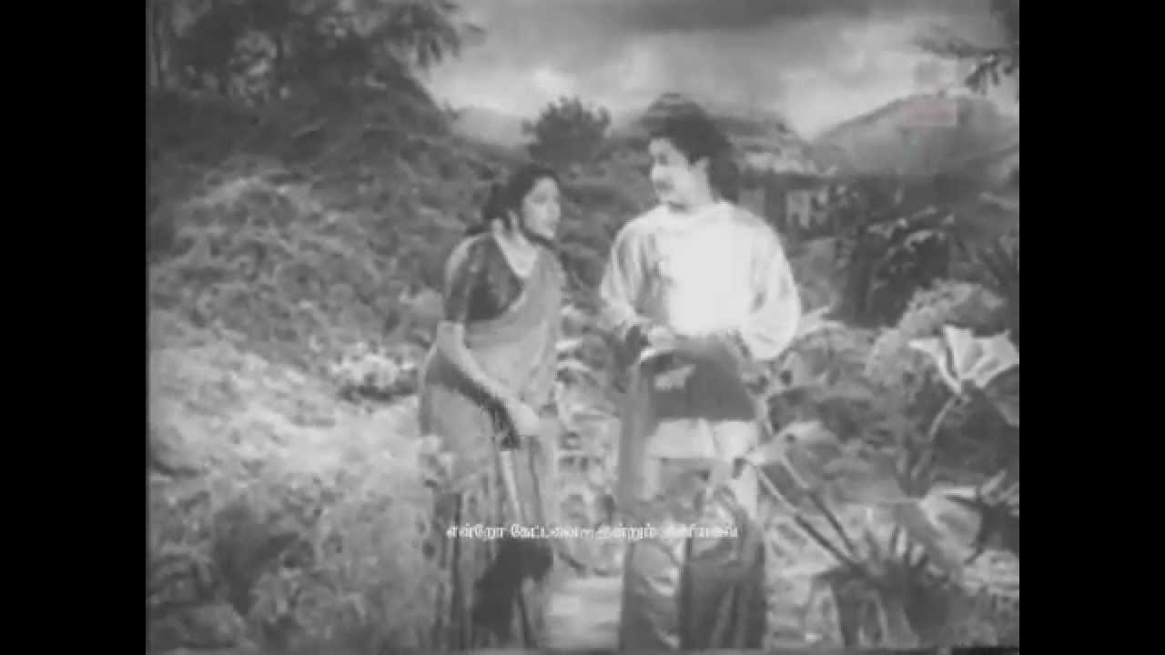 Medhavi Pole Edhedho Pesi Song Lyrics | Kalyanam Panniyum Brahmachari | A. M. Rajah, Jikki