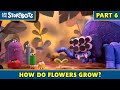 How Do Flowers Grow Part 6 10 Ask The StoryBots
