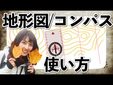 ブラウンホリネズミ (Geomys bursarius)