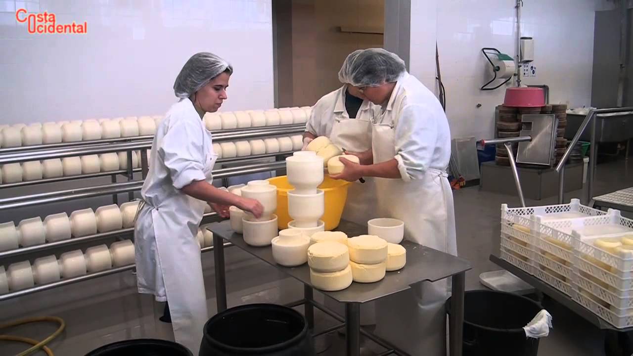 Produção de Laticínios na ilha das Flores (HD)