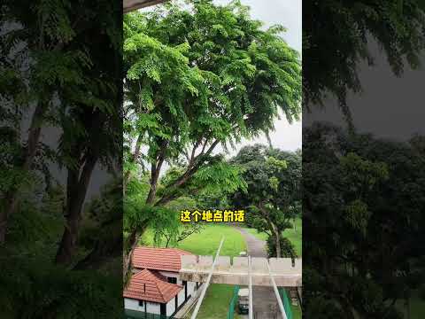 5 Changi Village Road, 5 Changi Village Road, 2 Bedrooms, 710 sqft, HDB Flat For Sale, by Kenneth Yeo, 500164782 - PropertyGuru.com.sg