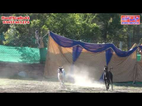 2 April 2021 round 3 Raj pur track race