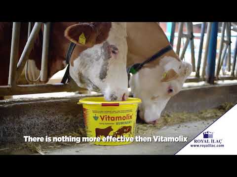 download lagu mp3 mp4 Crystalyx Garlic, download lagu Crystalyx Garlic gratis, unduh video klip Crystalyx Garlic