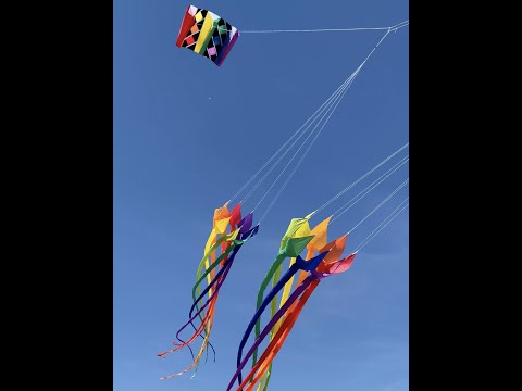 Baiter Park Aug 10th 2022