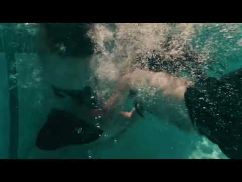 Pool Drain- teaser trailer