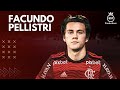 Facundo Pellistri ► Bem Vindo Ao Flamengo? - Amazing Skills, Goals & Assists | 2023 HD