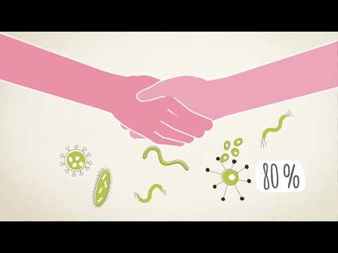 PfiFf informiert׃ Hygiene in der Häuslichkeit