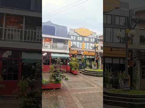 Otoño en Valdivia 🍁#valdivia #surdechile #chile #regiondelosrios #chilelindo #chiletravel #otoño