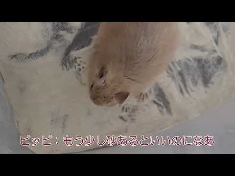 動画編集します イメージ1