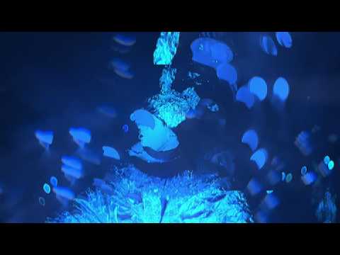 Home Production x Wtk - Endless