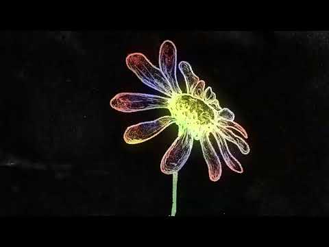 SadSvit - Твій промінь (official lyric video)