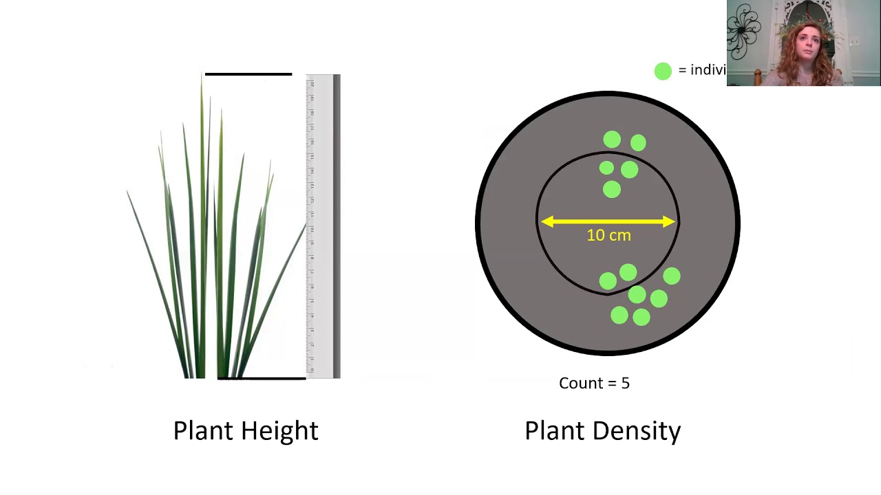 Hannah Robart - EVS Capstone Presentation