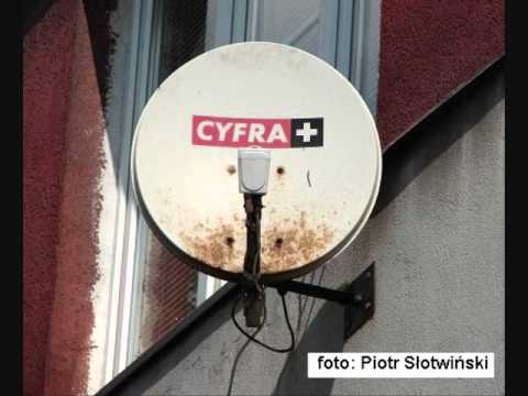 download lagu mp3 mp4 Cyfra Plus, download mp3 Cyfra Plus free download mp3, download mp3 Cyfra Plus
