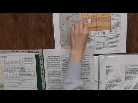 Chits and Cats - Voyage of the B.S.M. Pandora