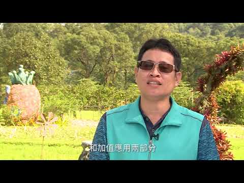 農業改革看台灣 循環農業應用—鳳梨栽培