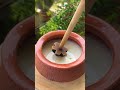 Gondhoraj Ghol Buttermilk Chass Bengalifood