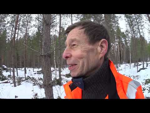 Metsolan Metsäkoulu 266 - Juhani Penttilän - Jarcrac miehen  ajatuksia metsänkasvatuksesta