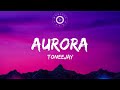 Aurora Lyrics Video -  Toneejay