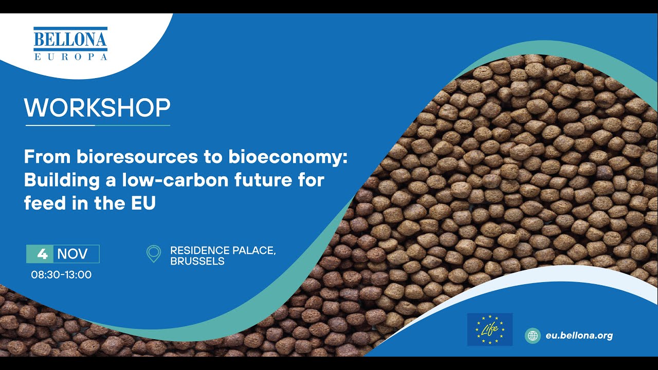 Recording - Bioeconomy Workshop, November 4th
