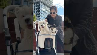 Manyu & Bai’s Daily Life | Picking Mom Up to Celebrate Chinese New Year Together