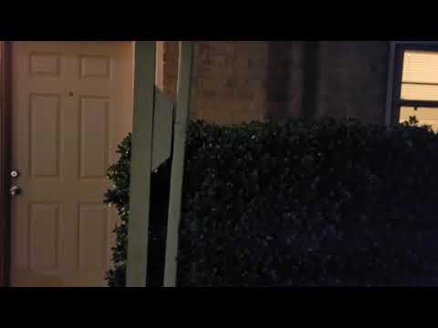 noisy neighbors: May 1 0402am