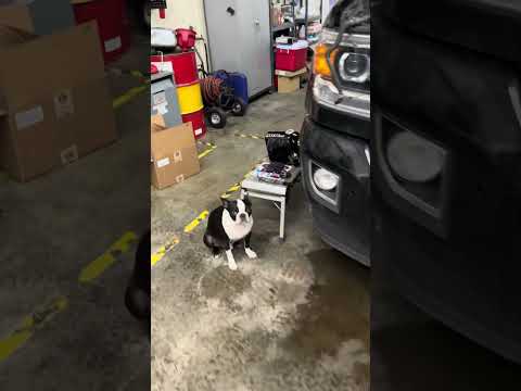 L5P Duramax low coolant light fix! #wcfab #automobile #dieselmechanic #mechanic #gmtruck