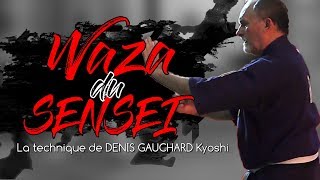 WAZA DU SENSEI 6 : La technique de Denis GAUCHARD • TaikiBudo
