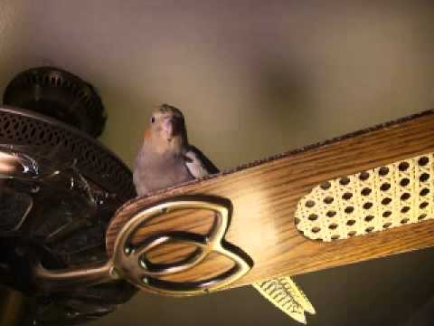 20140306 P0943 Tweet talks for the first time