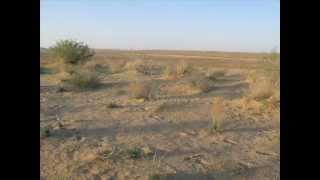 banco de gaia - kara kum