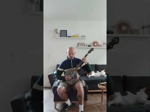 Banjo de Luthier. Tenor composite. Années 2010 image 9