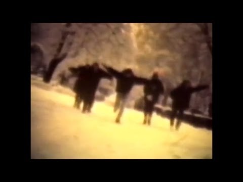 Night of the Vampire