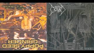 Poppy Seed Grinder & Defeated Sanity (Split) - Horrid Decomposition