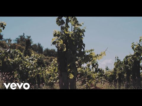 Dalibor Brun - Jedna Žena Plava