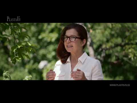 Maca Kapseln von PlantaVis