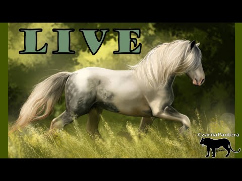 🔴ZAPIS LIVE🔴 Dzień 14.11.2020