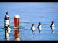 Staffelseer Bier Hilfe Wir Saufen Ab