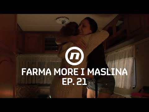Zagrljaj prije dvoboja - Epizoda 21 | Farma More i Maslina